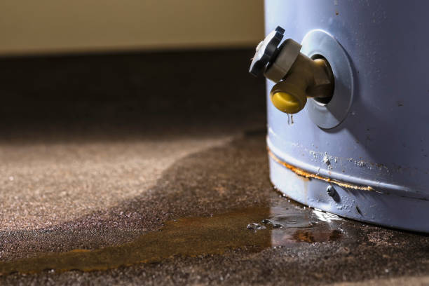  Arlington Heights, IL Water damage restoration Pros