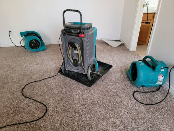 Best Flood restoration services  in Arlington Heights, IL