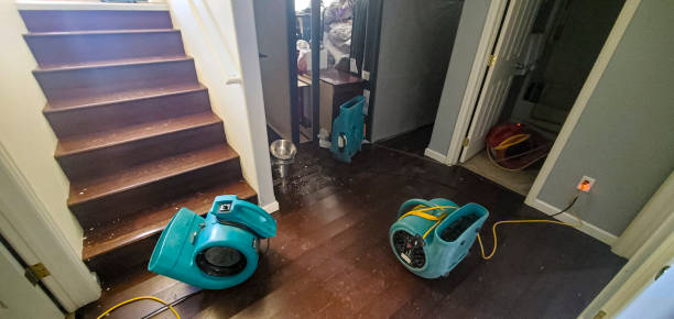 Best Commercial water damage restoration  in Arlington Heights, IL