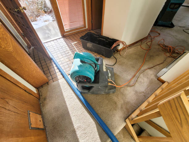 Best Water damage contractors near me  in Arlington Heights, IL