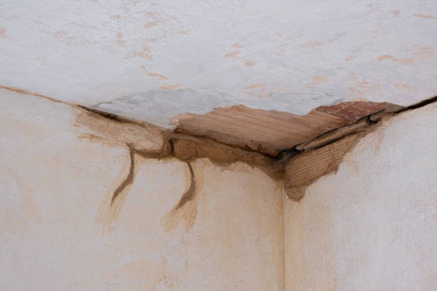 Best Residential water damage restoration  in Arlington Heights, IL