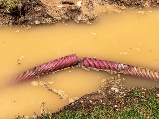Best 24/7 water damage repair  in Arlington Heights, IL