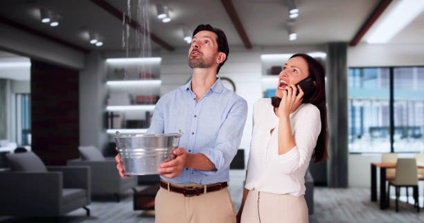 Best Water damage restoration process  in Arlington Heights, IL